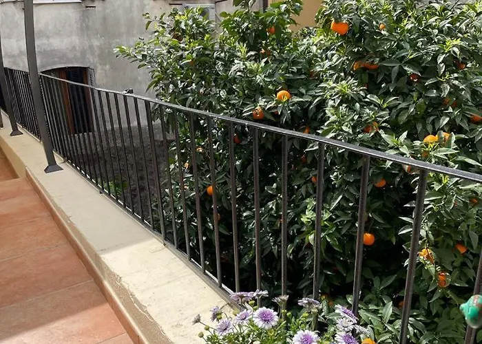 Climatisés - Vieil Antibes